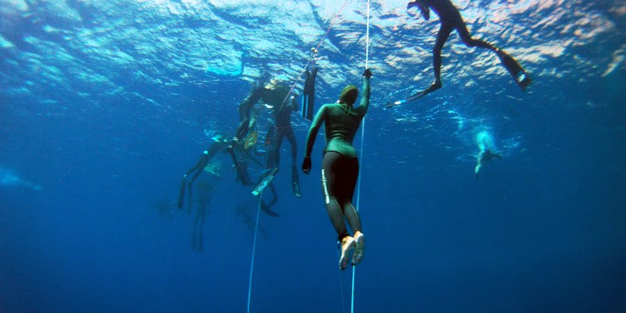freediving- dahab