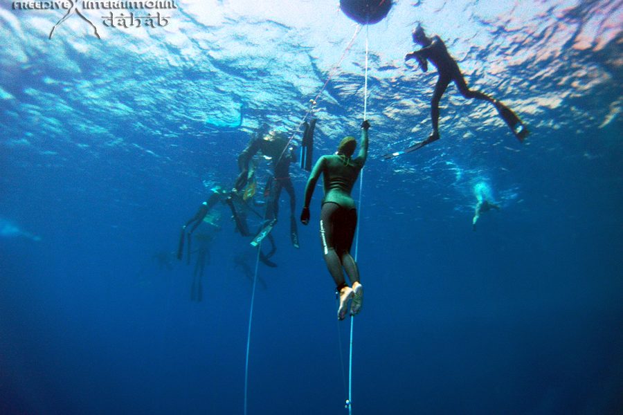 freediving- dahab