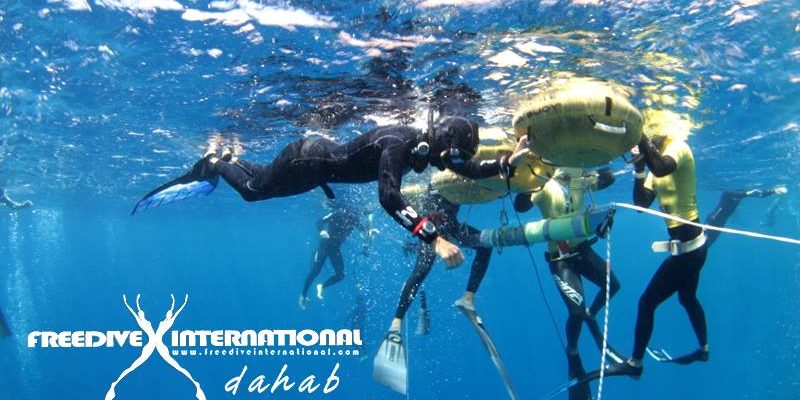 freediving-competition