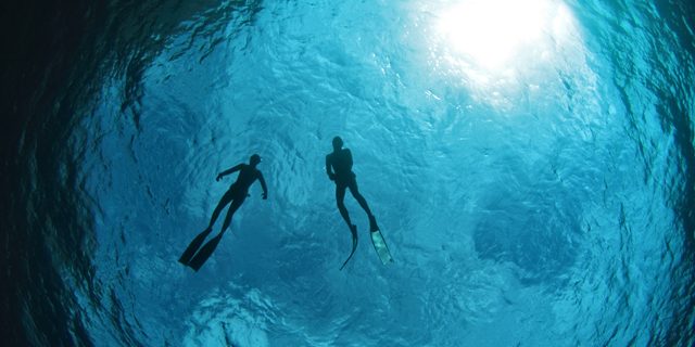 freediving