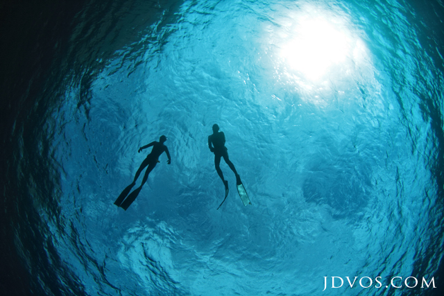 freediving