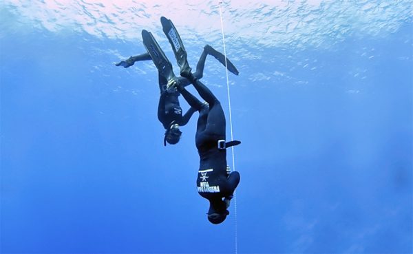freefall-5