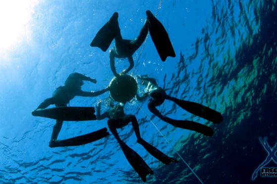 freediving dahab