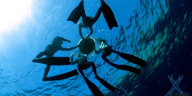 freediving dahab
