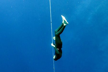 freediving-training-tip freediving-training-tip