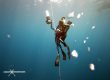 2 safety divers rescue a freediver