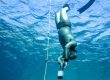 Diver doing freediving in variable weight